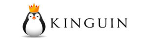 Kinguin's logo.