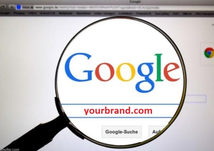 search for your domain or brand