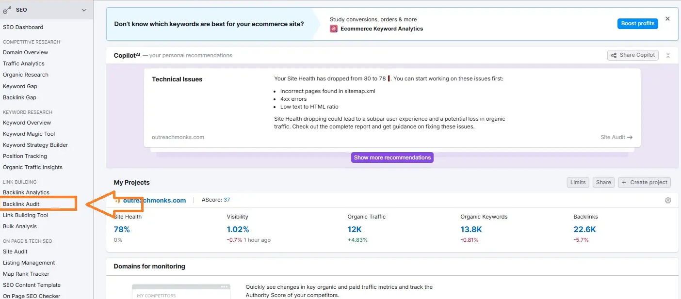 4. Backlink Velocity