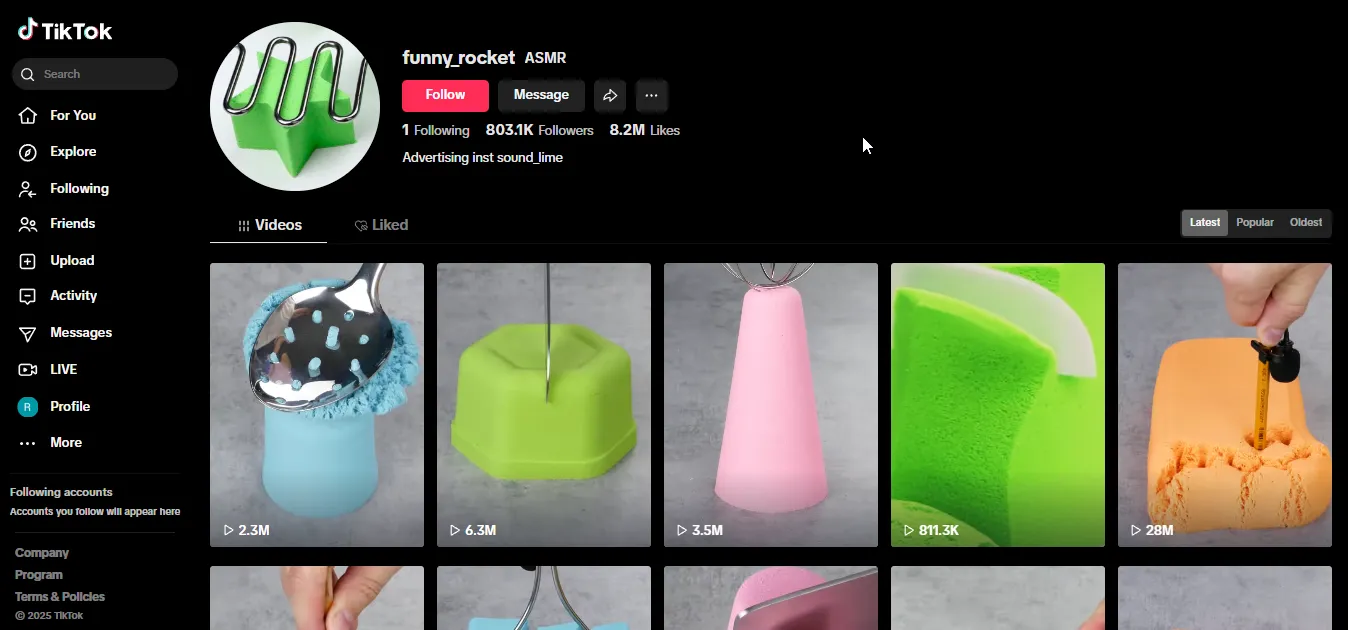 What Are Faceless TikTok Content Examples?
