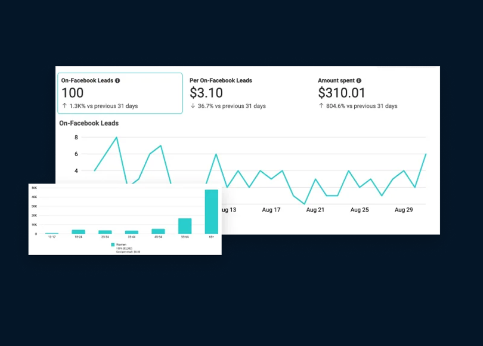How White Label Facebook Ads Turn Into Profit 
