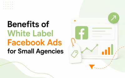 Is Your Agency Making Less Money? (And How White Label Facebook Ads Help)